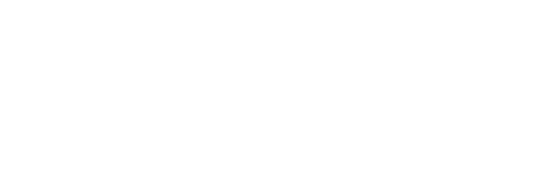 MONARCA TAX EXPRESS